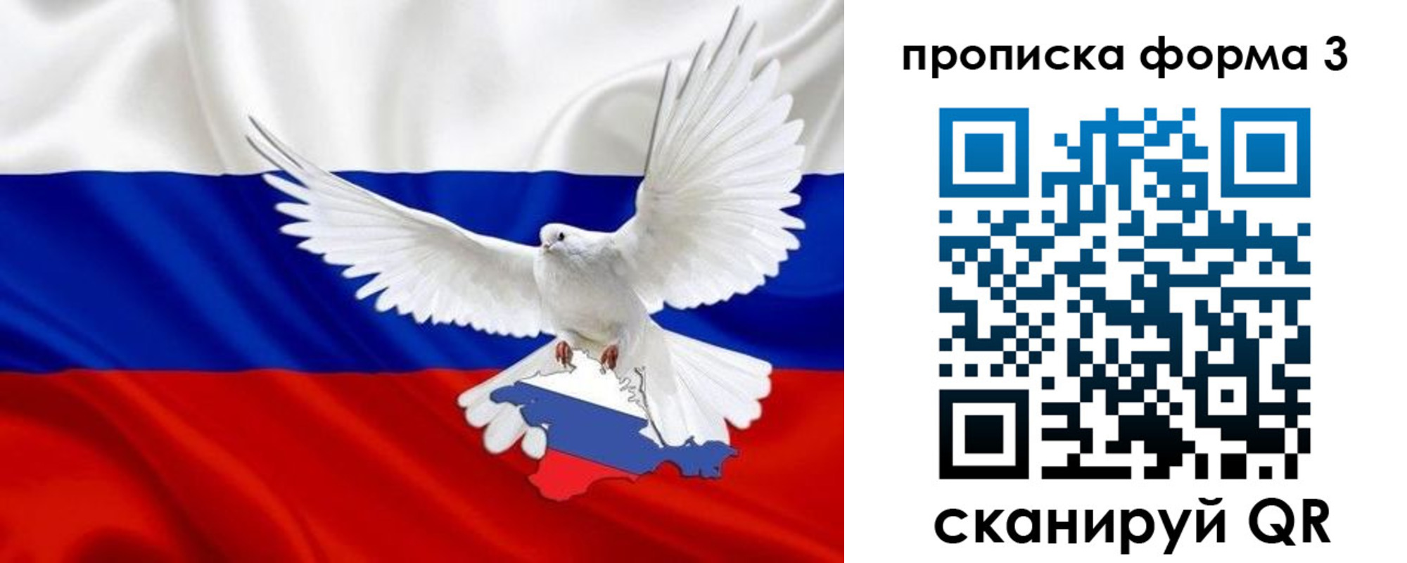 прописка 2025 в Котельниках